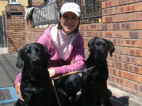 ラブラドールレトリバー　キャンディー＆ミント親子